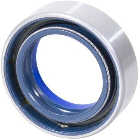 Oil seal - CI126403