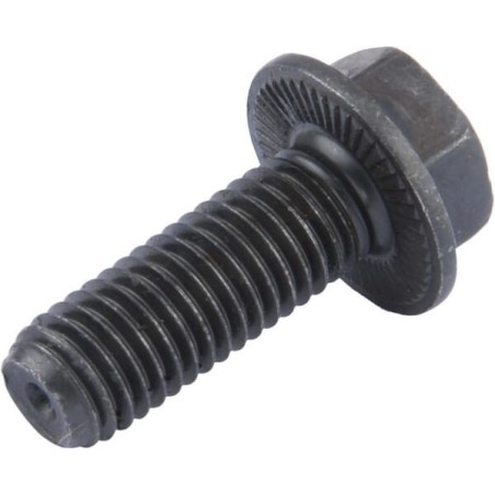 Screw - CI125827