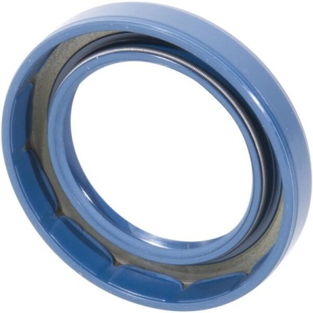 Ring - CI134375