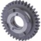 Gear - CI145284