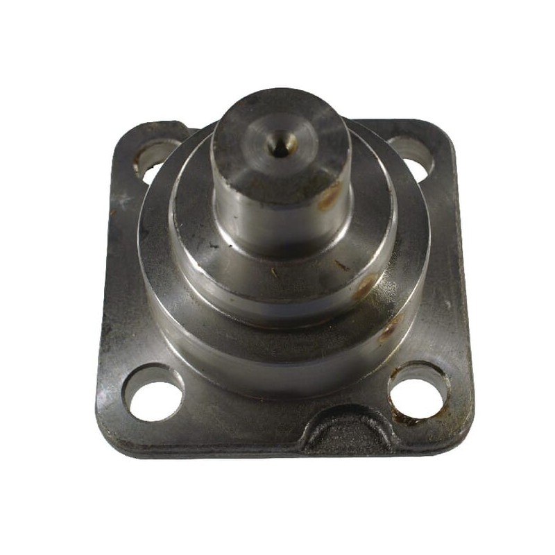 Achsschenkelbolzen Carraro - CI143239 Achsschenkelbolzen Carraro - CI143239