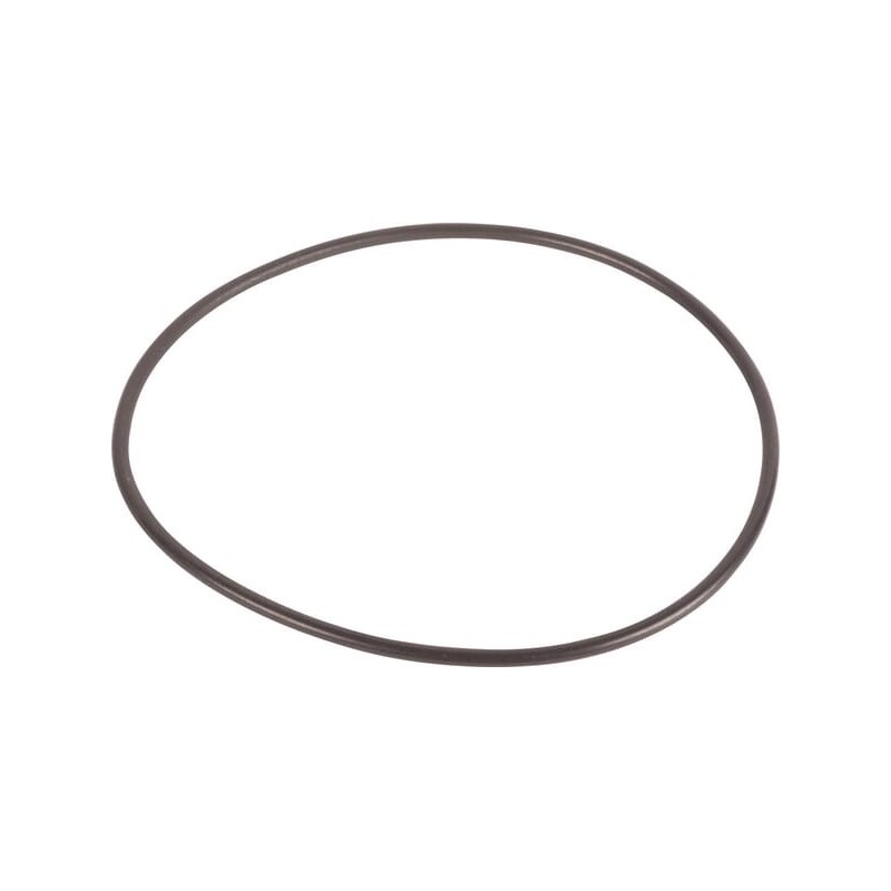 O-Ring - CI141938