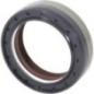 Seal ring - CI370815