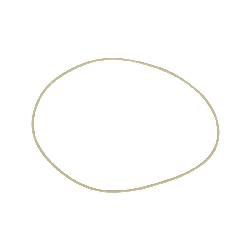 O-ring - CI831460