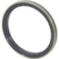 Seal ring - CI149703 Seal ring - CI149703