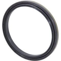 Seal ring - CI149703