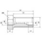 Bulkhead coupling without nut - CLSVAM14IM8L