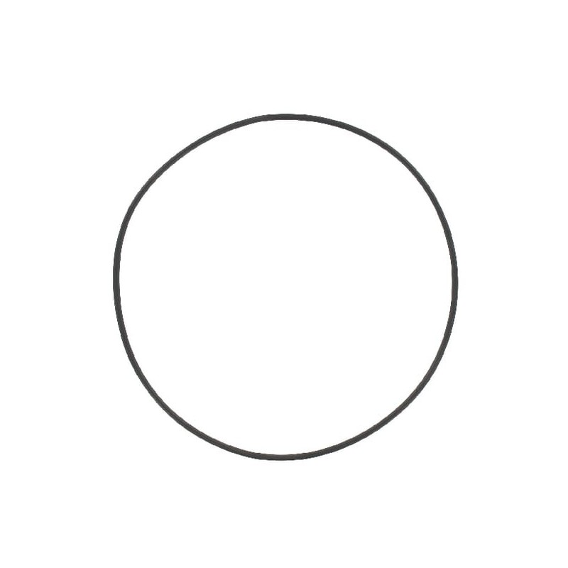 Dichtungsring B.P. - CM13 Dichtungsring B.P. - CM13