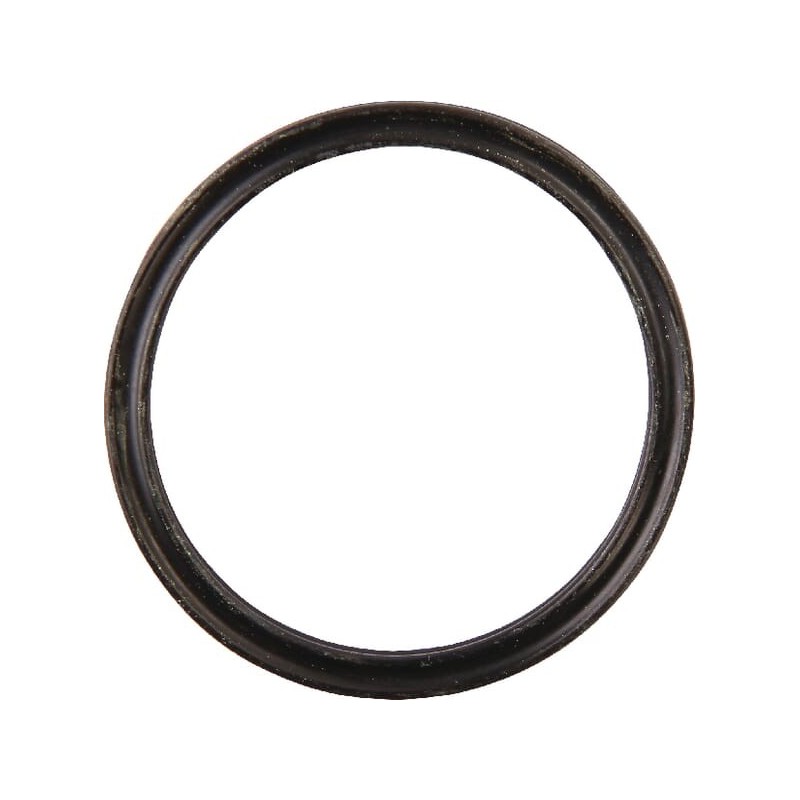 Dichtung 28,24x2,62 - CW780025100 Dichtung 28,24x2,62 - CW780025100