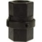 Non-return valve 1 inch FF - CV100