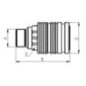 Quick release coupling - CPV0822215F