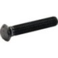 Saddle Bolt M12x70 - CP7043 Saddle Bolt M12x70 - CP7043