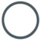 Dichtring - CP77172226VI Dichtring - CP77172226VI