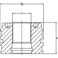Piston DS32 bore 70 - DS3907004