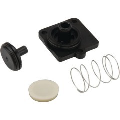 Check valve Shurflo - DIP9491003