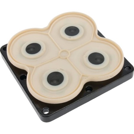 Membrane set Shurflo - DIP9491004