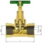 DGV stopcock 2 inch - DGV2 DGV stopcock 2 inch - DGV2