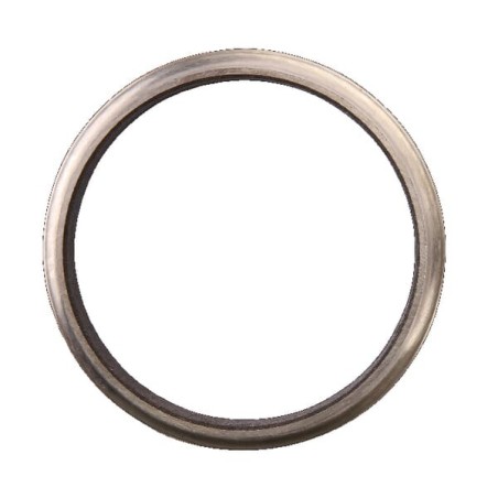 Gleitring - DGLB012