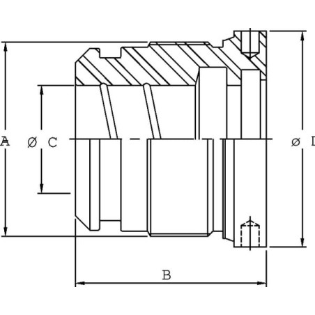 Kopfmutter C25 D60-100 vorm. - DC2910013060VM