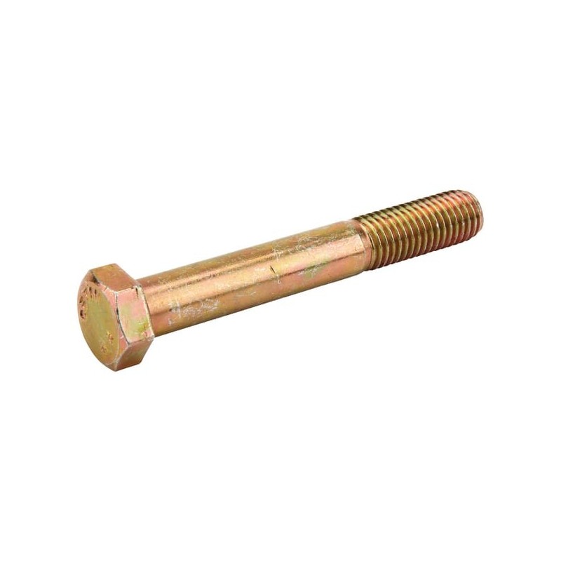Hexagonal screw 14X100 8.8 - DB133