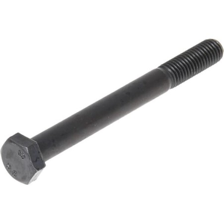 Hexagonal screw 10x100 8.8 - DB051