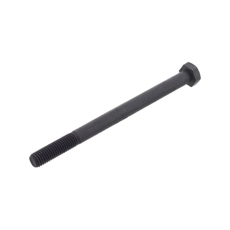Hexagonal screw 10x135 8.8 - DB481
