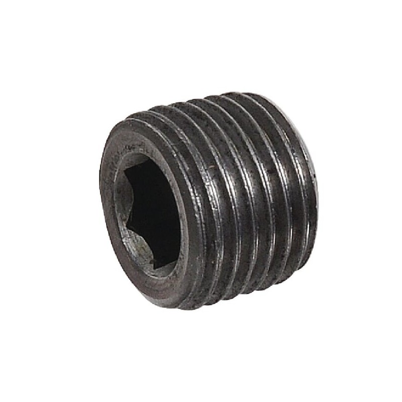 Pl. plug M10x1.0 DCP/DPL hsg - DCP9M10X1