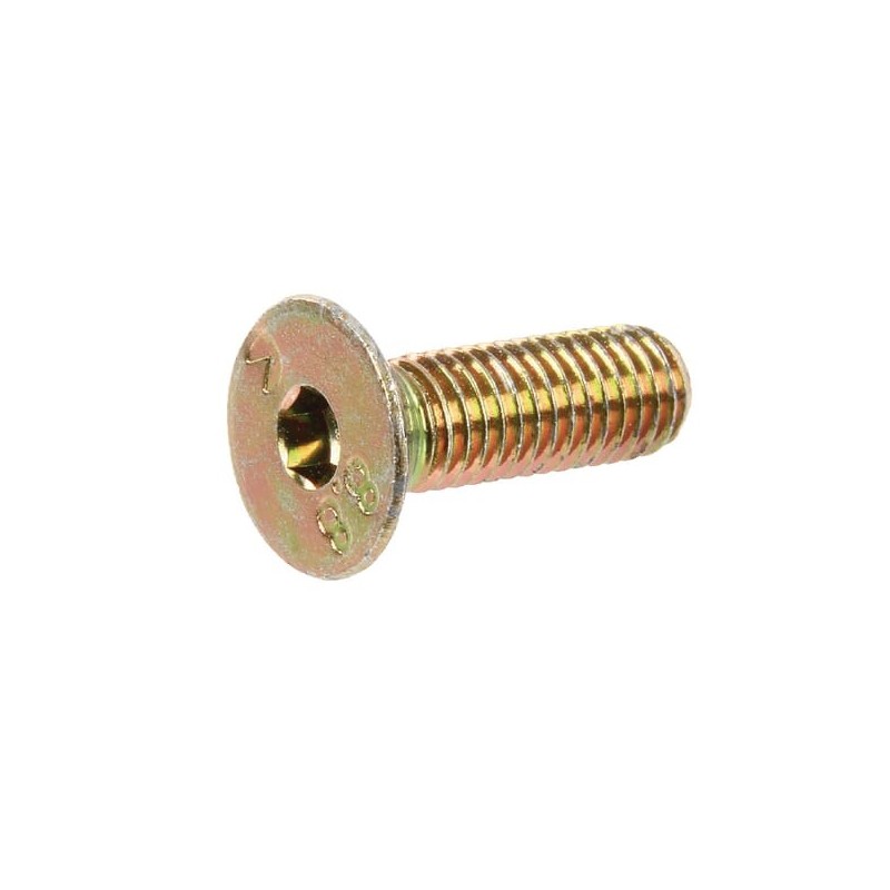 Śruba V2A, 8 x 25 mm - DD220