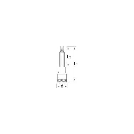 Steckschlüsseleinsätz TX 25 - DPITX19LT25100