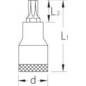 Torxeinsatz 3/8 T45 - DPITX30T45