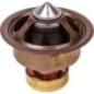 Termostat - DZ113382 Termostat - DZ113382