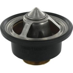 Thermostat - DZ122884