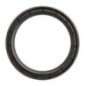 Seal ring - DWD015