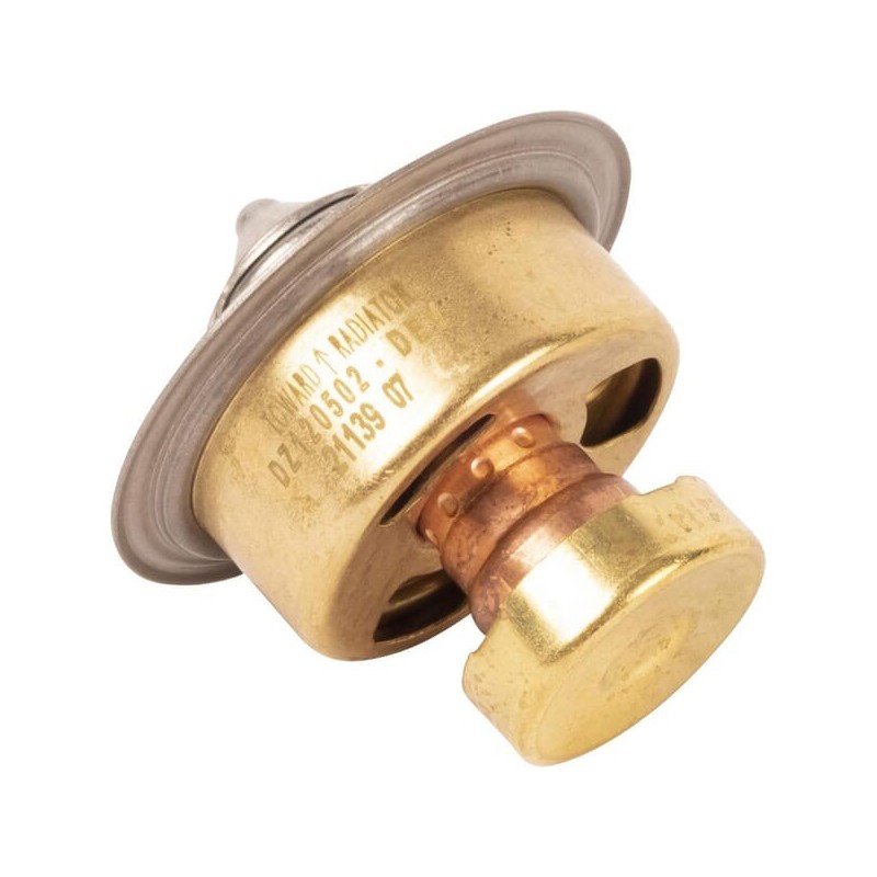 Termostat - DZ120502