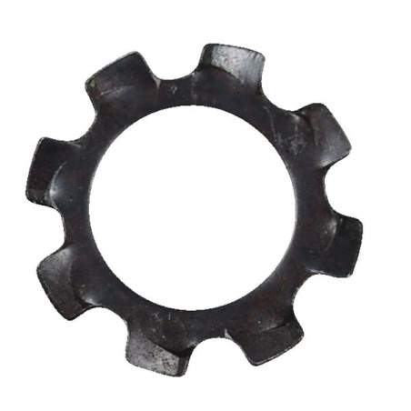 Fits AS-Motor – produkty dostępne w rolniczeczesci.pl