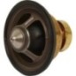 Termostat - DZ120501 Termostat - DZ120501