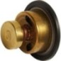 Thermostat - DZ120501