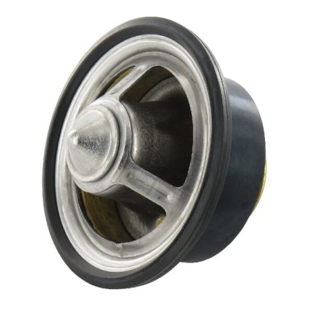 Termostat - DZ100553