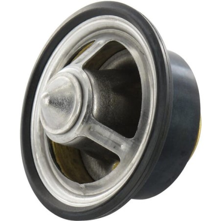Termostat - DZ100553