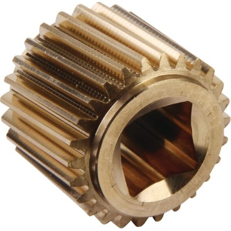 Schneckenrad - E10603ASM
