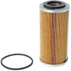 E1055HD609 Hengst, Hengst 