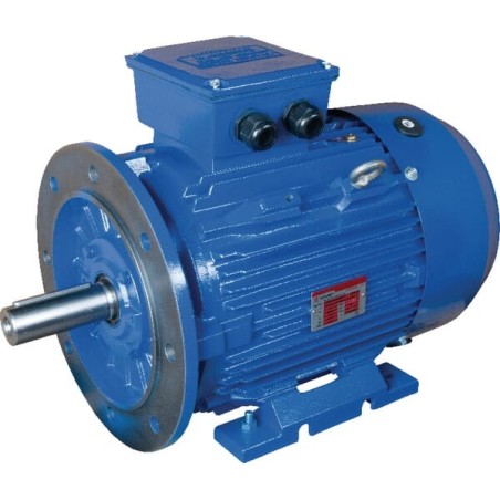 B3-B5 foot and flange mount – produkty dostępne w rolniczeczesci.pl