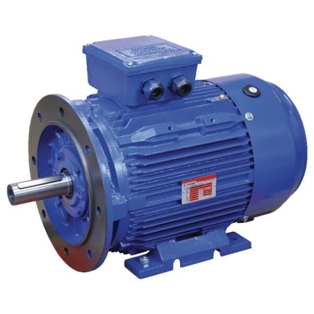 B3-B5 foot and flange mount – produkty dostępne w rolniczeczesci.pl