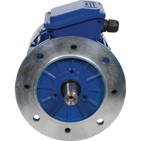 Elektromotor 3 kW - EM100LB4B5300IE3A