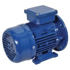 Electric motor 0,55 kW - EM80A4B3B5300IE2A