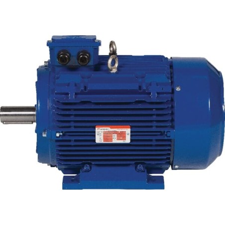 Silnik elektryczny 4 kW - EM112L4B3500IE3AKR