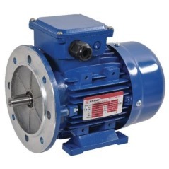 B3-B5 foot and flange mount – produkty dostępne w rolniczeczesci.pl