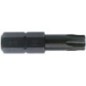 Bit Torx - ENX240