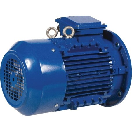 Silnik elektryczny 5,5 kW - EM132MB6B5500IE3A