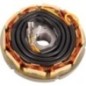 Alternator stator - ED0011571580S Alternator stator - ED0011571580S